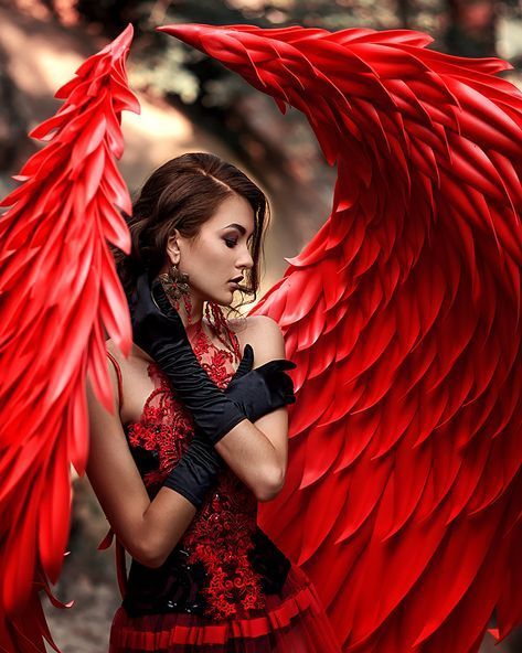 Angel Lopez profile photo